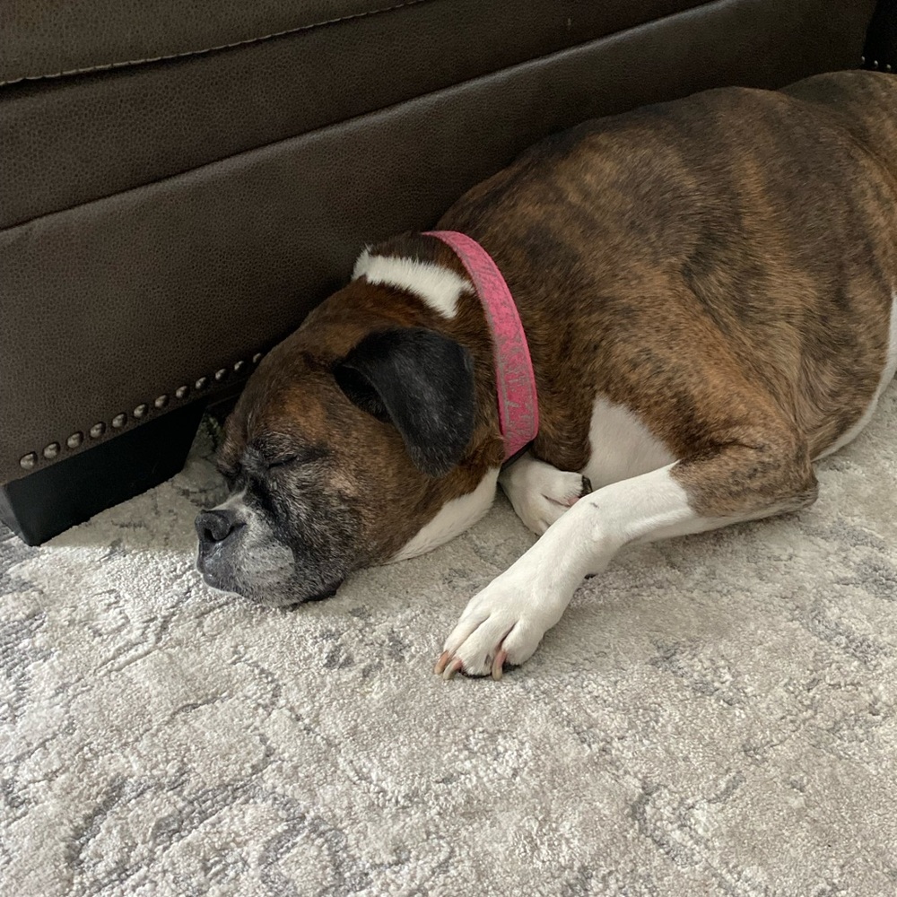 Meet your Posher, Alex